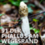 #91 Der Phallus am Wegesrand