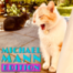 Michael Mann – Teil 3 (2001-2006)